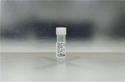 抗小鼠PDL1(B7H1, CD274)体内抗体, 克隆号10F.9G2