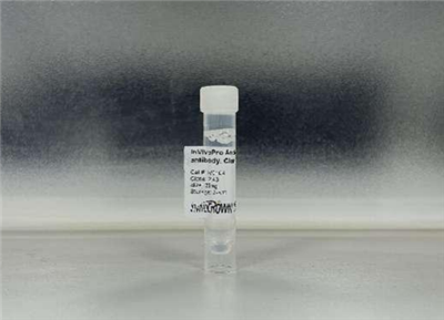 抗小鼠CD8α体内抗体, 克隆号2.43