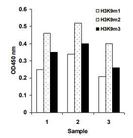组蛋白提取物由MCF-7细胞制备