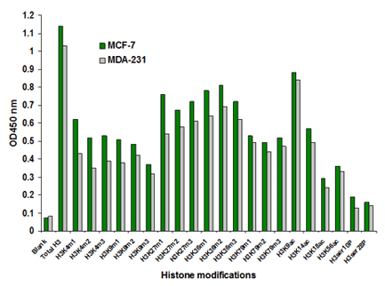 EpiQuik组蛋白H3修饰多重检测试剂盒比色法