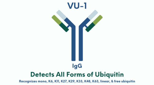 VU-1.png