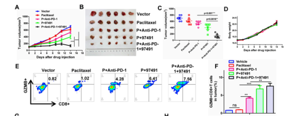Invivo Crown PD-1.png