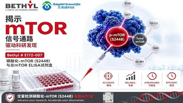 mtor-1.png