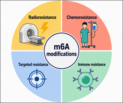 microRNA.png