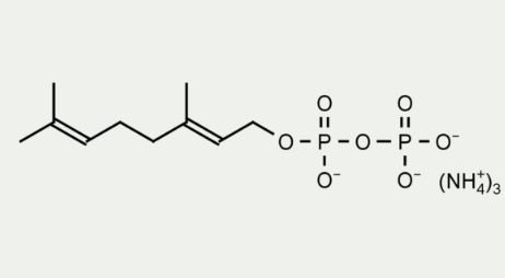 Geranyl Diphosphate