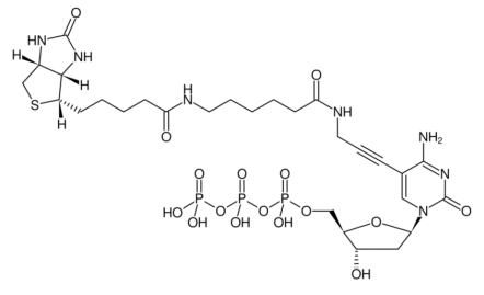 NU-809-BIOX.png