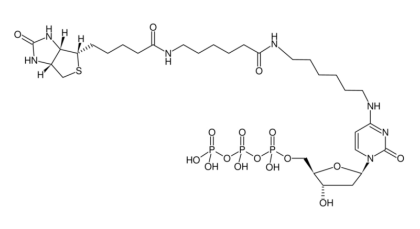 NU-956-BIO14.png