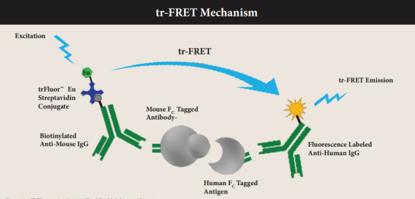 TR-FRET.png