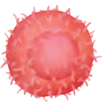IV0135.png