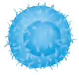 IV0121.png