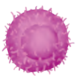 IV0102.png