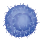 IV0119.png