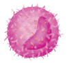 IV0111.png