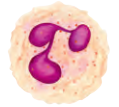 IV0103.png