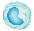 IV0114-1.png