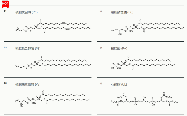 Echelon Bioscience-1.png