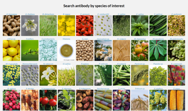 search antibody by species of interest.png
