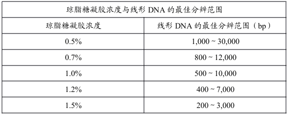 DNA1.png