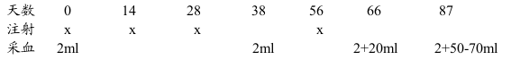 plan.png