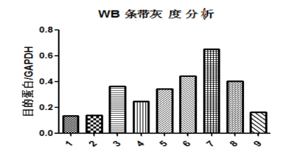 15wb-Gray-analysis.png