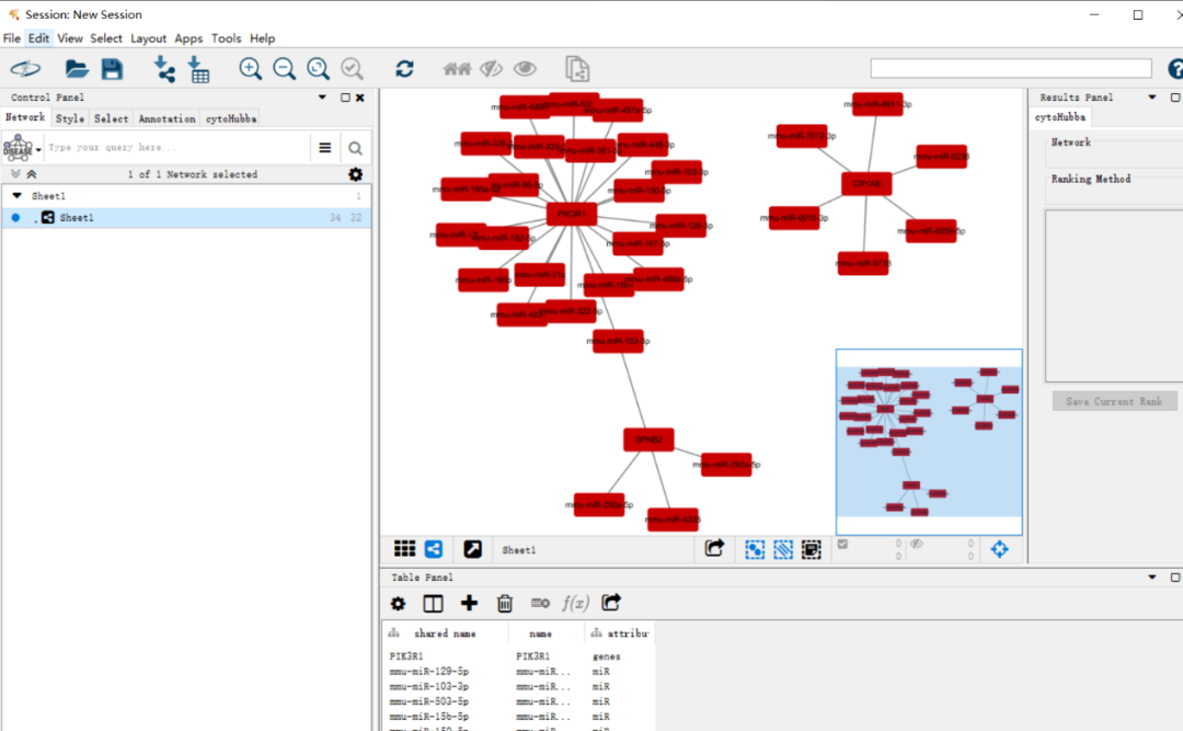 Cytoscape2.png