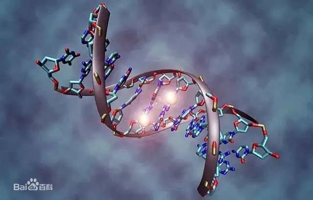 Genetic variation.jpg