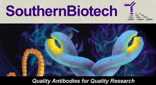 southernbiotech-amy.jpg