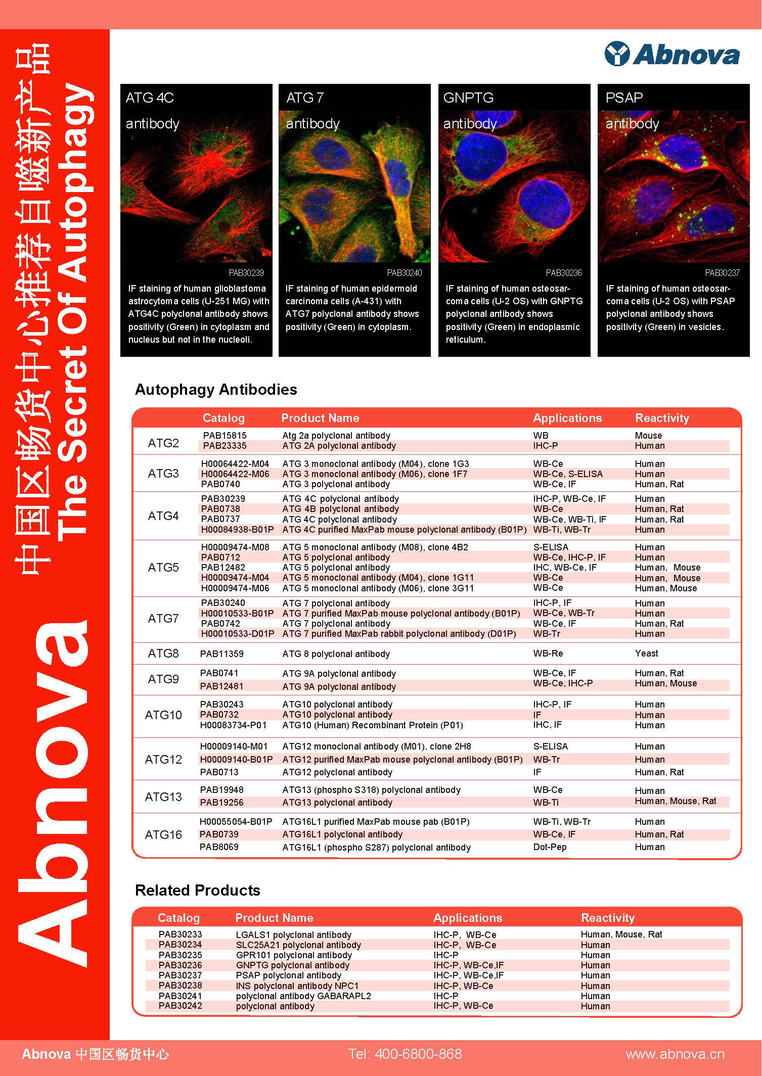 Abnova、Autophagy