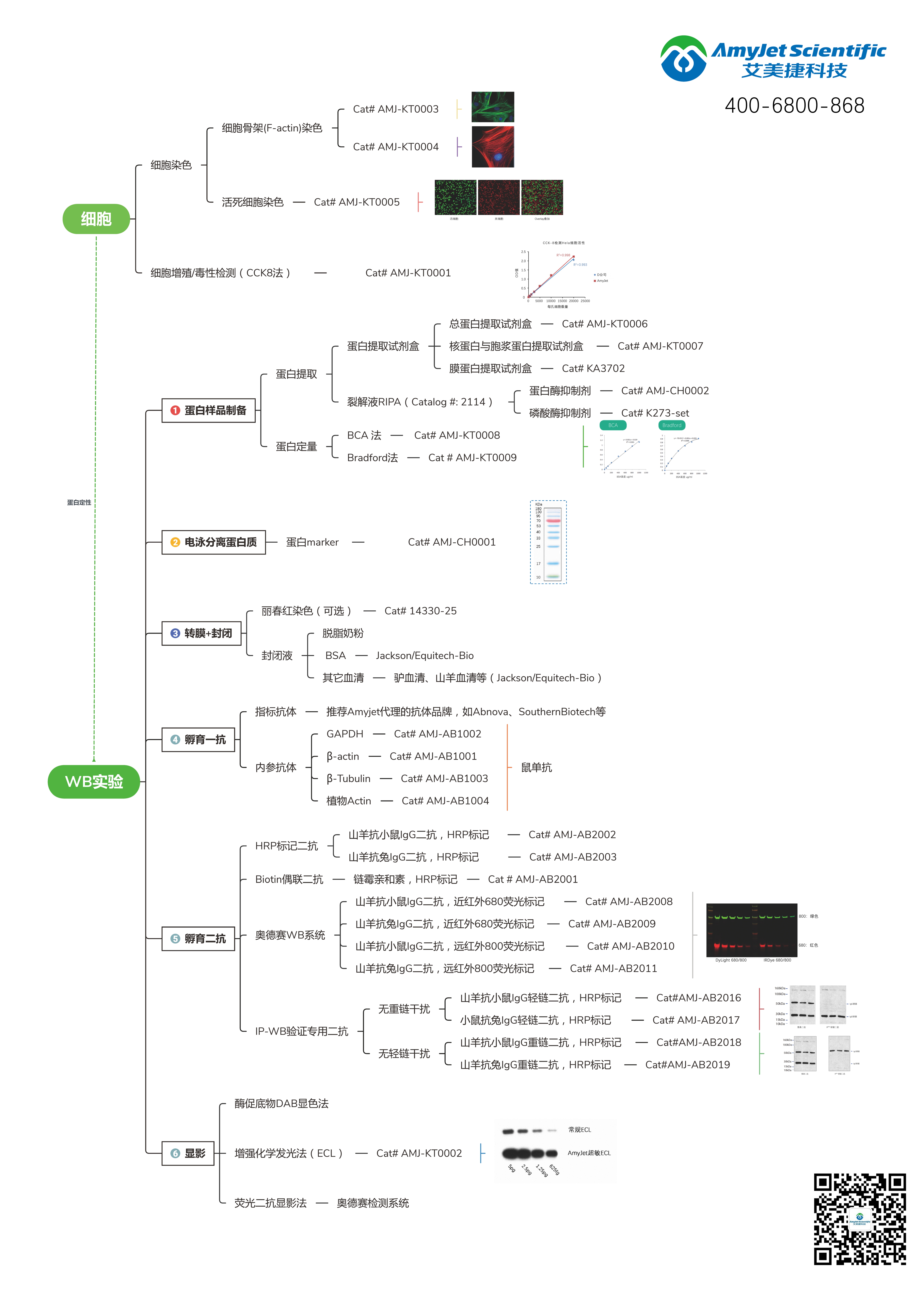 艾美捷自产随货发(1).jpg