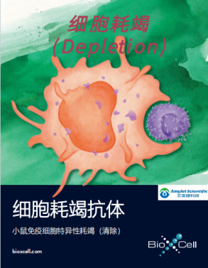 BioXCell-6.png