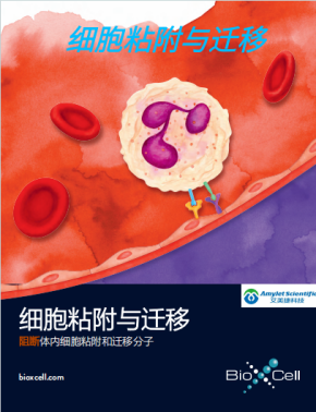 BioXCell-8.png