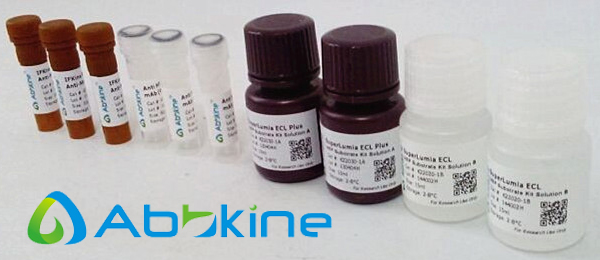 abbkine-vial.jpg