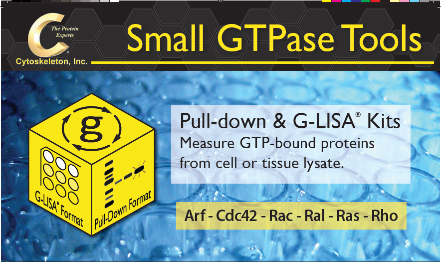 Cytoskeleton推出小G蛋白产品线 Small GTPase Tools