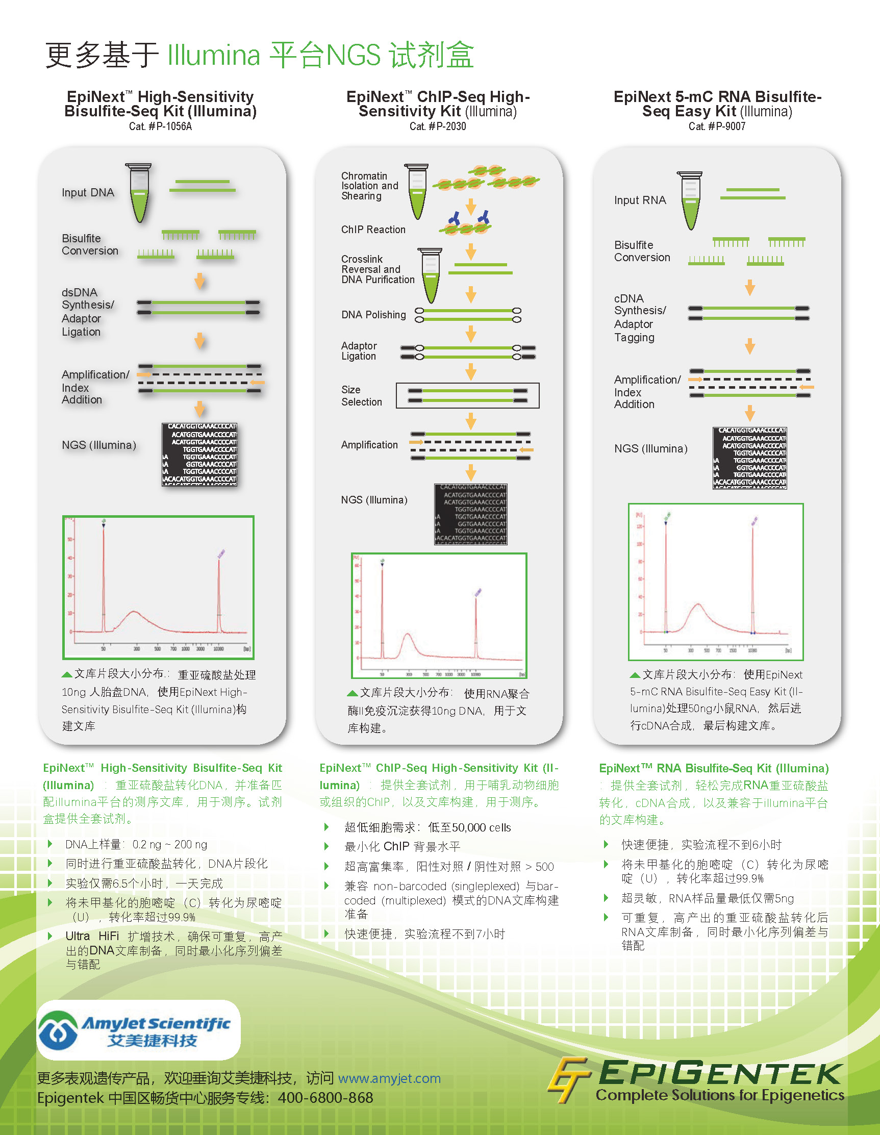 NGS 完整解决方案 在Epigentek_页面_2.jpg