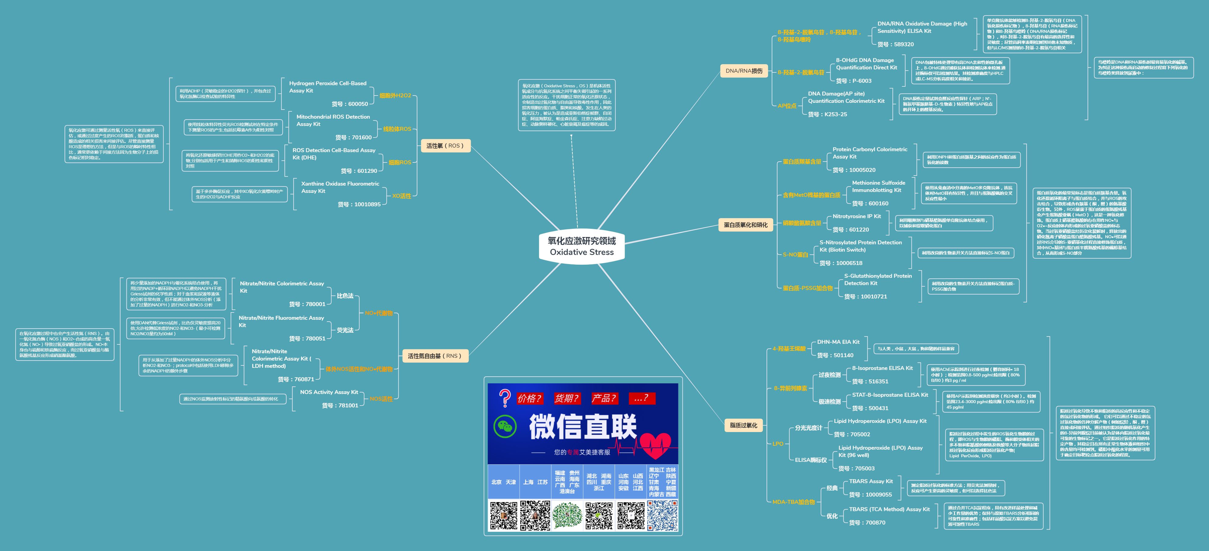 氧化应激研究领域Oxidative Stress.png