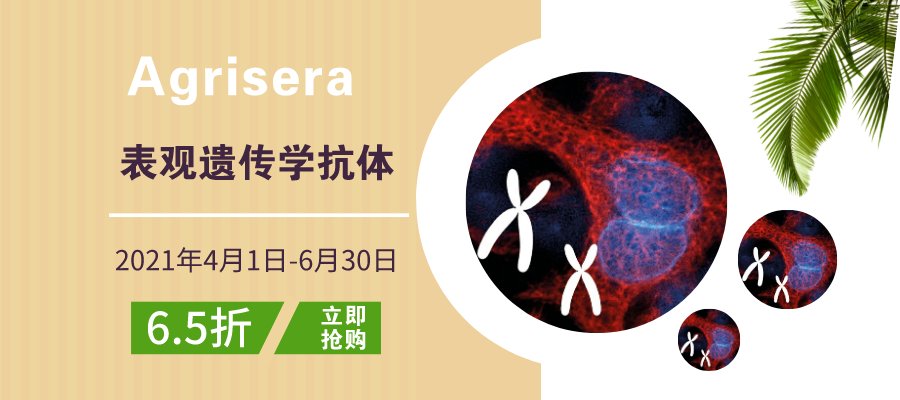 Ageisera-Q2促销-文章小banner.png