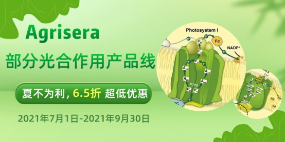 光合作用产品线.jpg