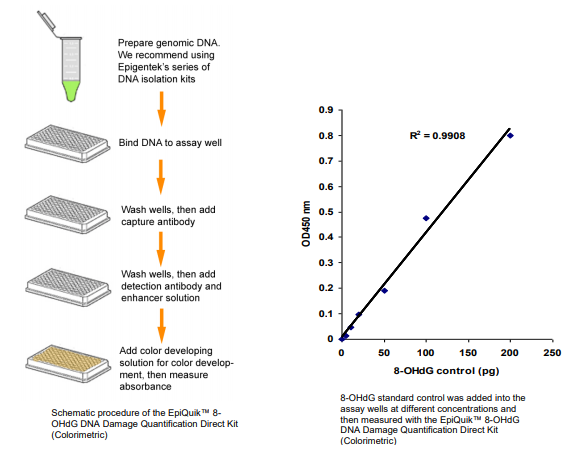 P-6003:8-OHdG DNA 损伤定量直接试剂盒.png