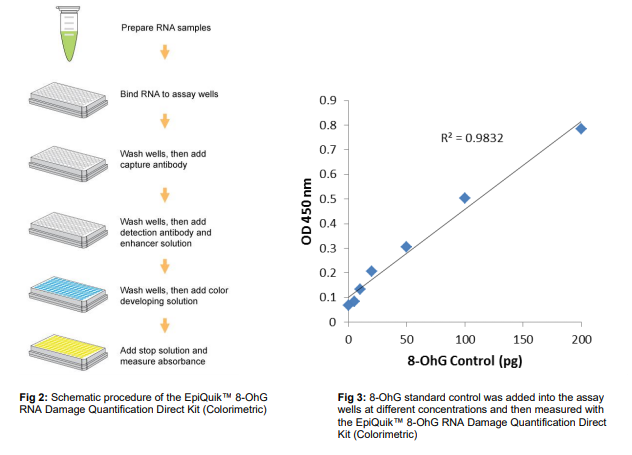 P-6008:8-OhG RNA 损伤定量直接试剂盒（比色法）.png
