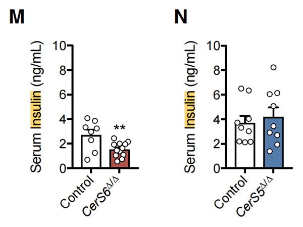 Ultra Sensitive Mouse Insulin ELISA