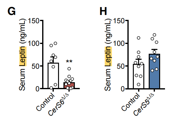 Mouse Leptin ELISA Kit（90030）