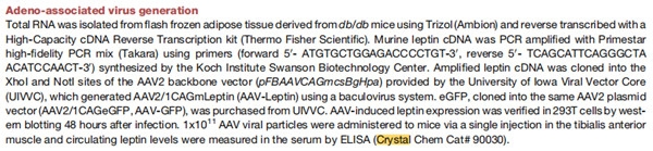 Mouse Leptin ELISA Kit（90030）