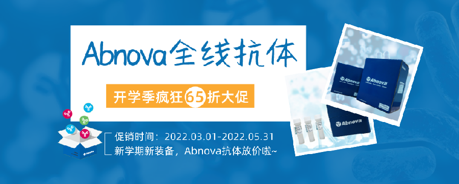 Abnova全线抗体，开学季疯狂大促