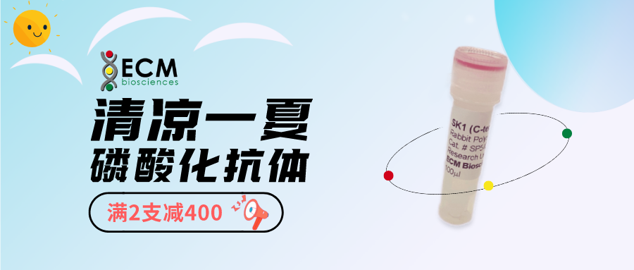 ECM Biosciences磷酸化抗体促销