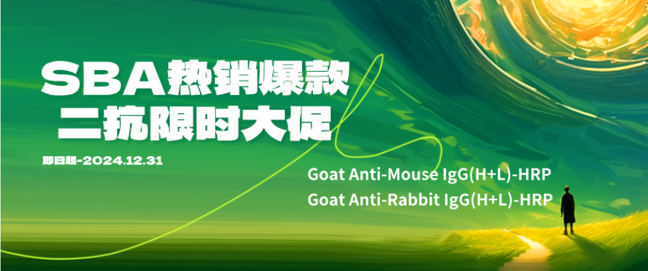 HRP标记亲和纯化山羊抗鼠IgG（H+L）二抗