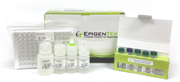 Epigentek-1.png