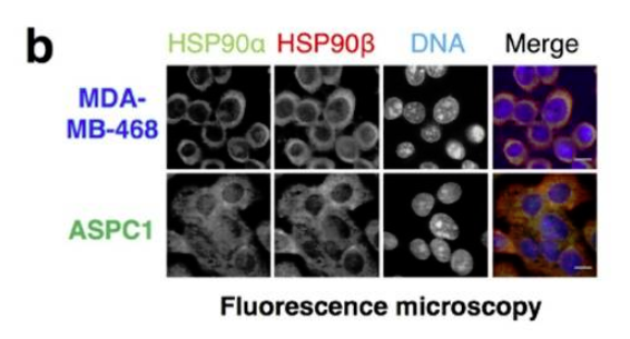 fluorescence.png