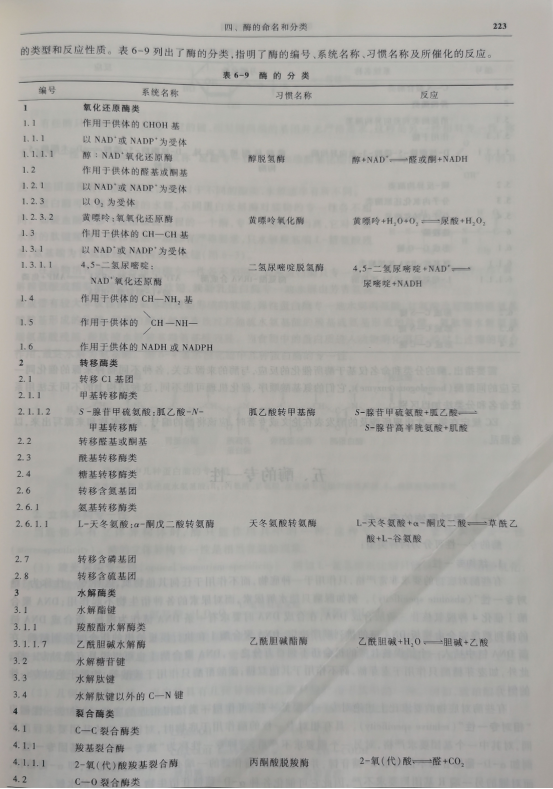 酶的分类图表.png