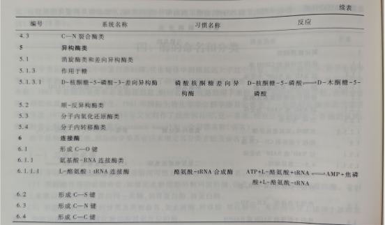 酶的分类图表.png