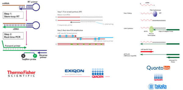 市面上常见的miRNA定量检测试剂盒原理